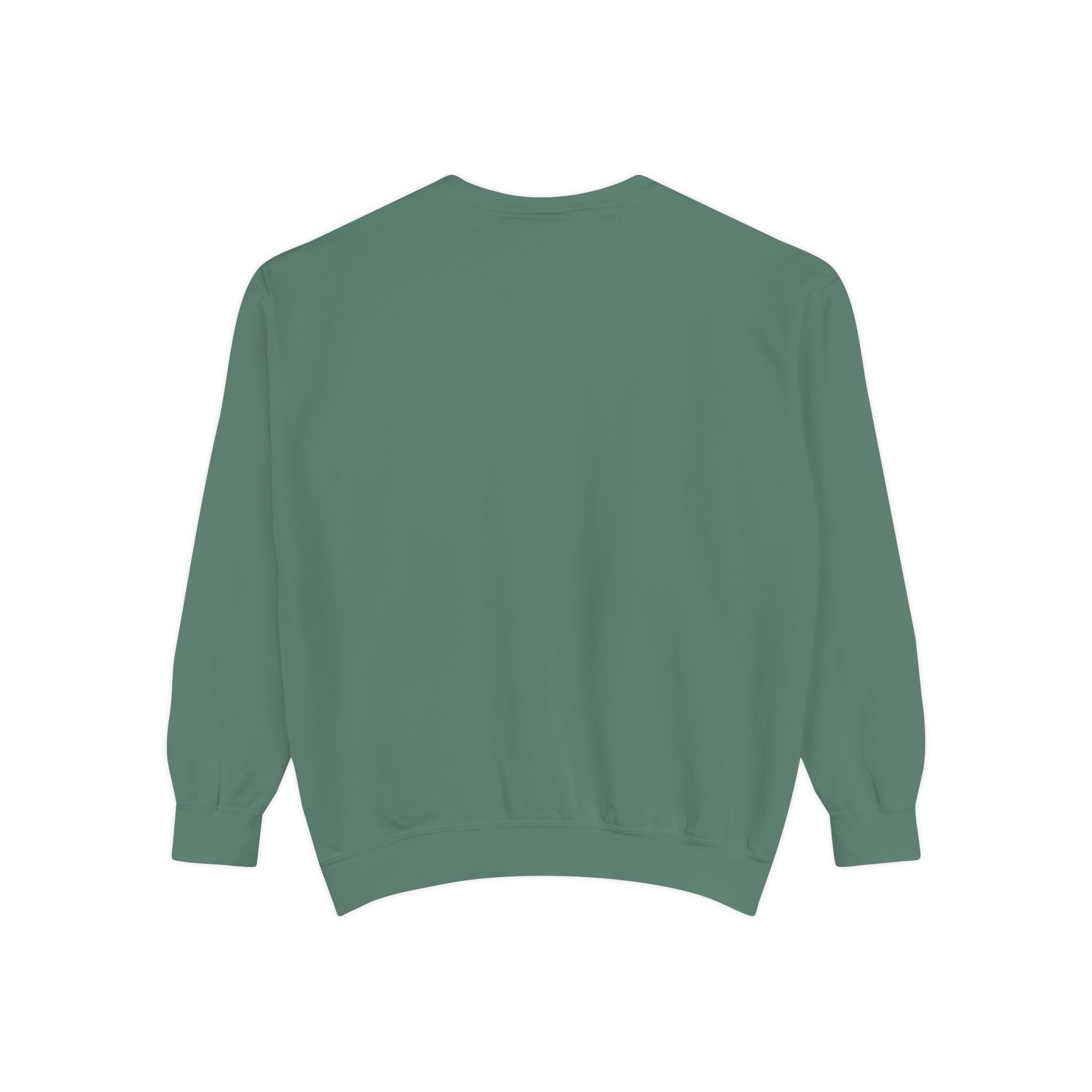 The Salty Spur Embroidered Crewneck Sweatshirt