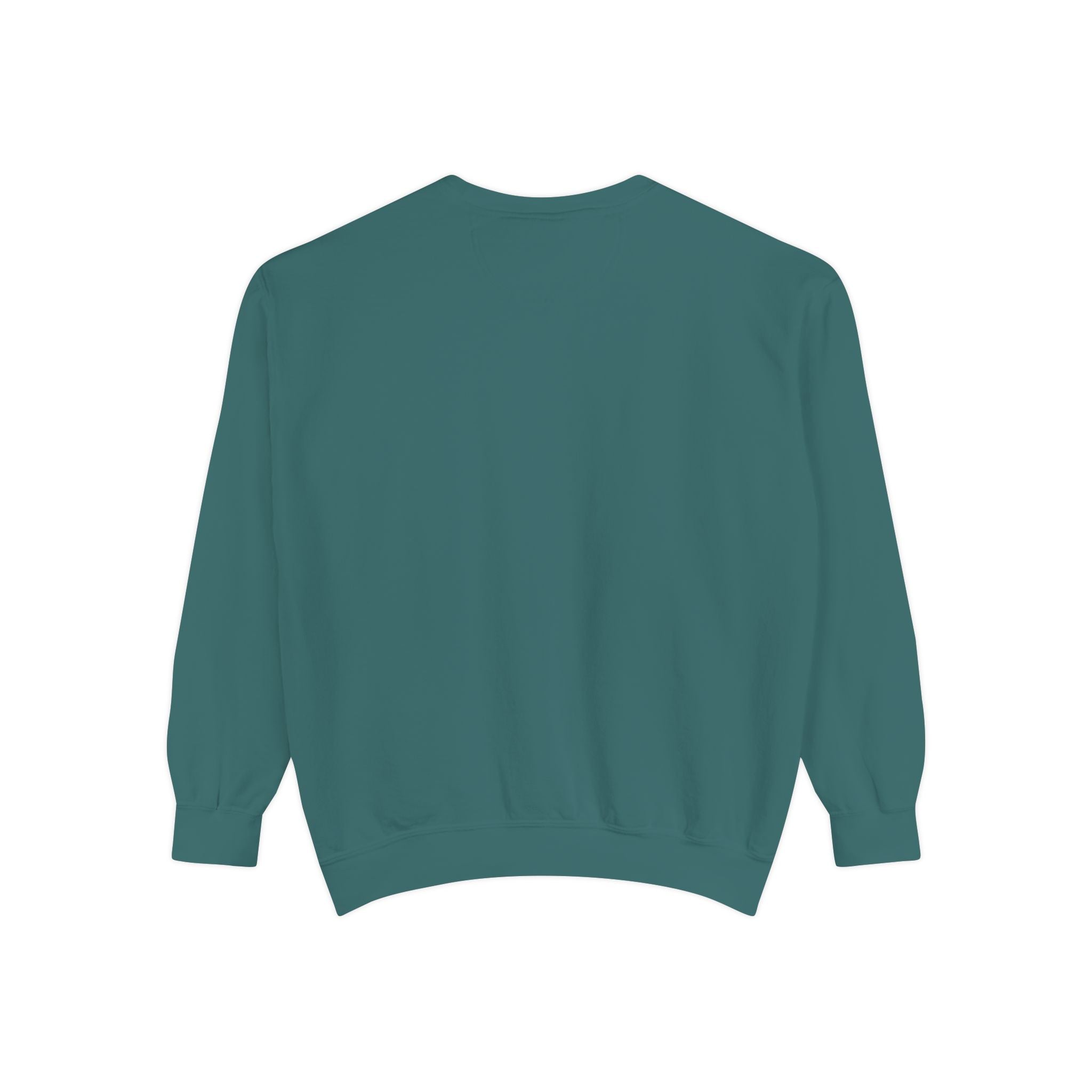 The Salty Spur Embroidered Crewneck Sweatshirt