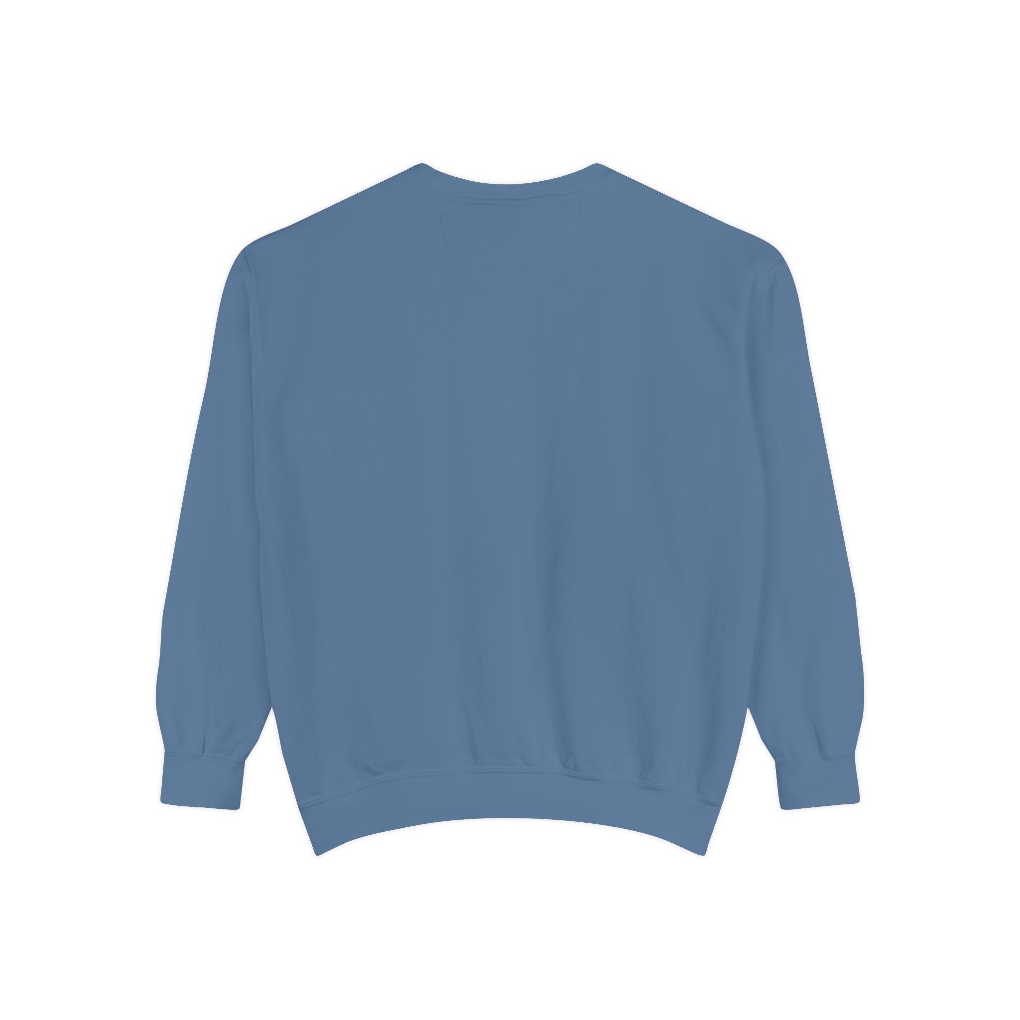 The Salty Spur Embroidered Crewneck Sweatshirt