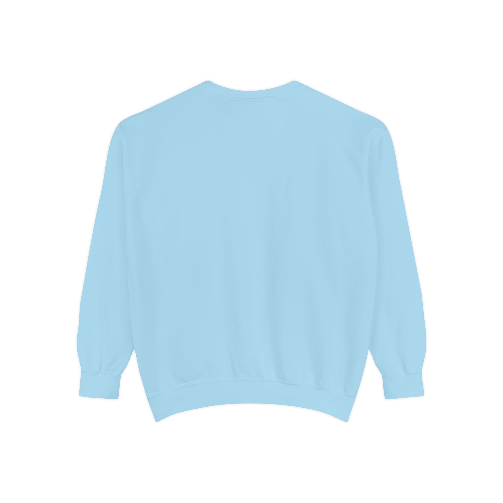 The Salty Spur Embroidered Crewneck Sweatshirt