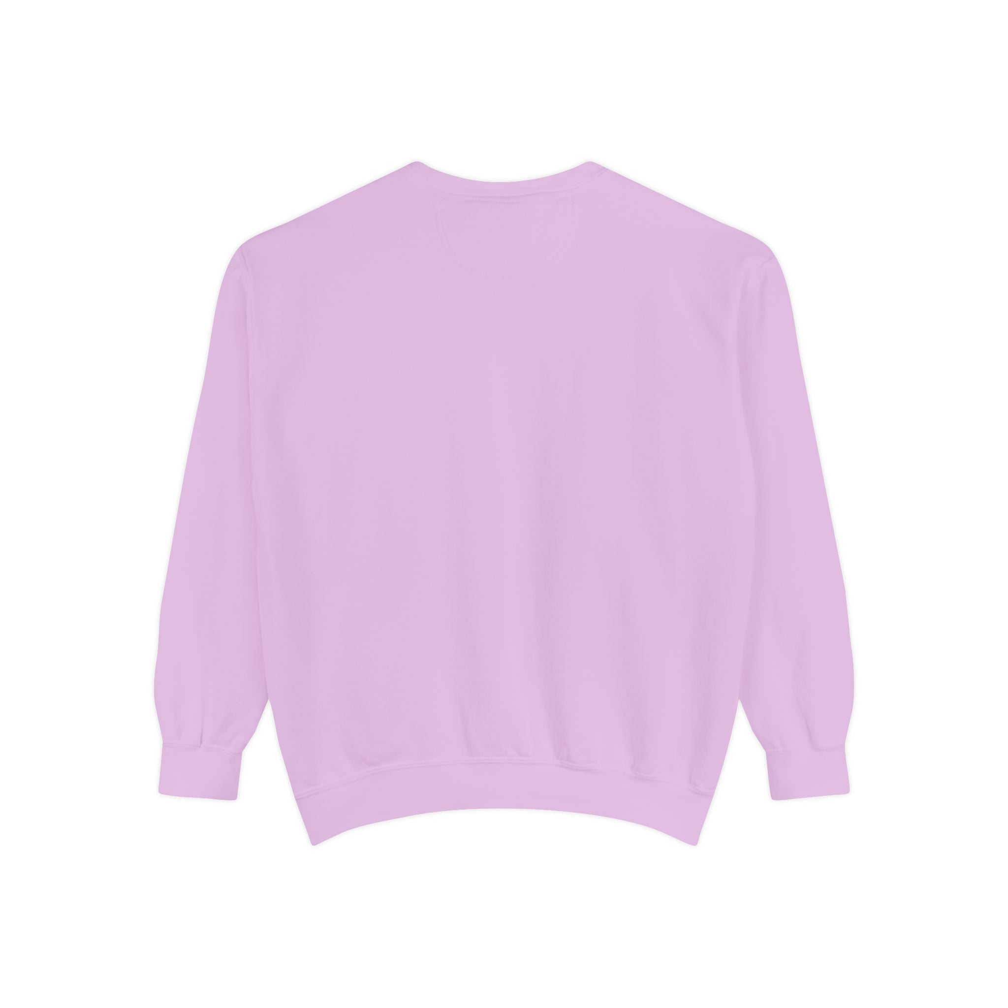 The Salty Spur Embroidered Crewneck Sweatshirt