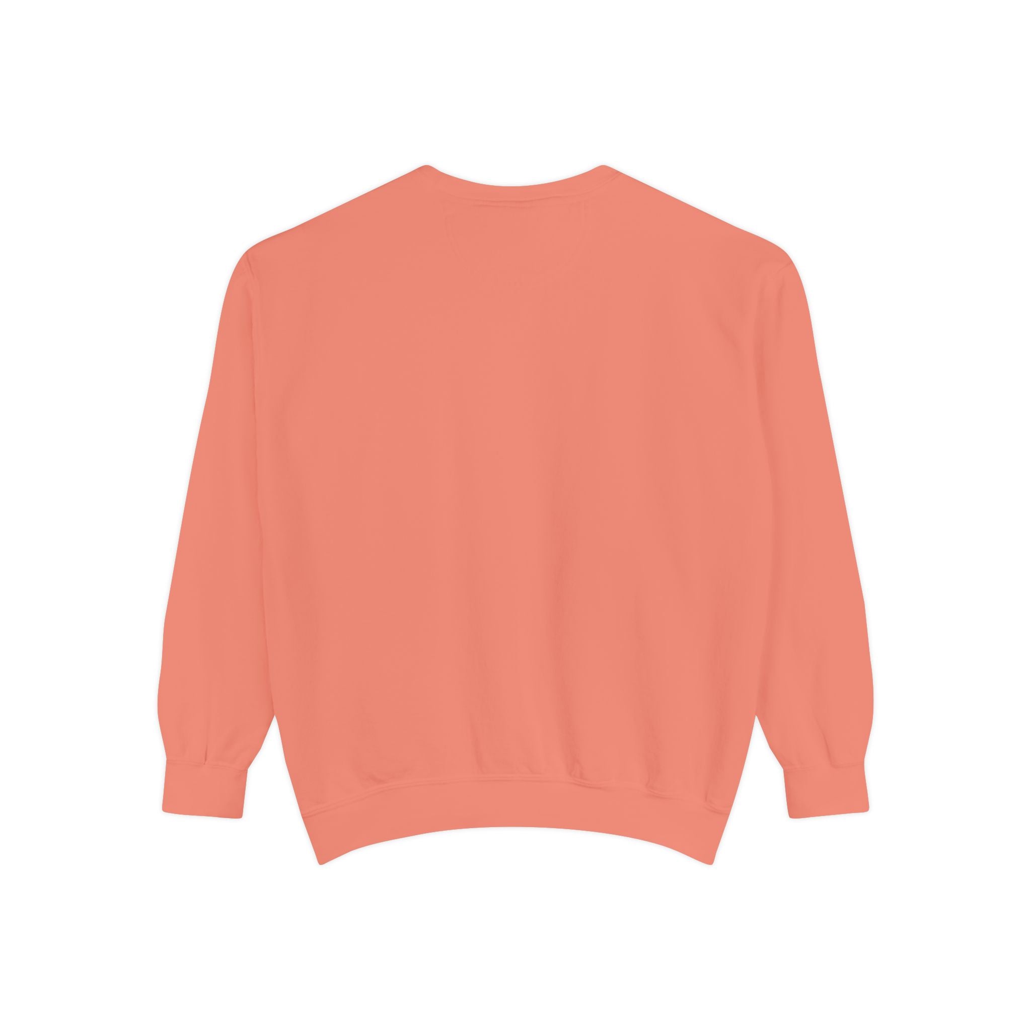 The Salty Spur Embroidered Crewneck Sweatshirt