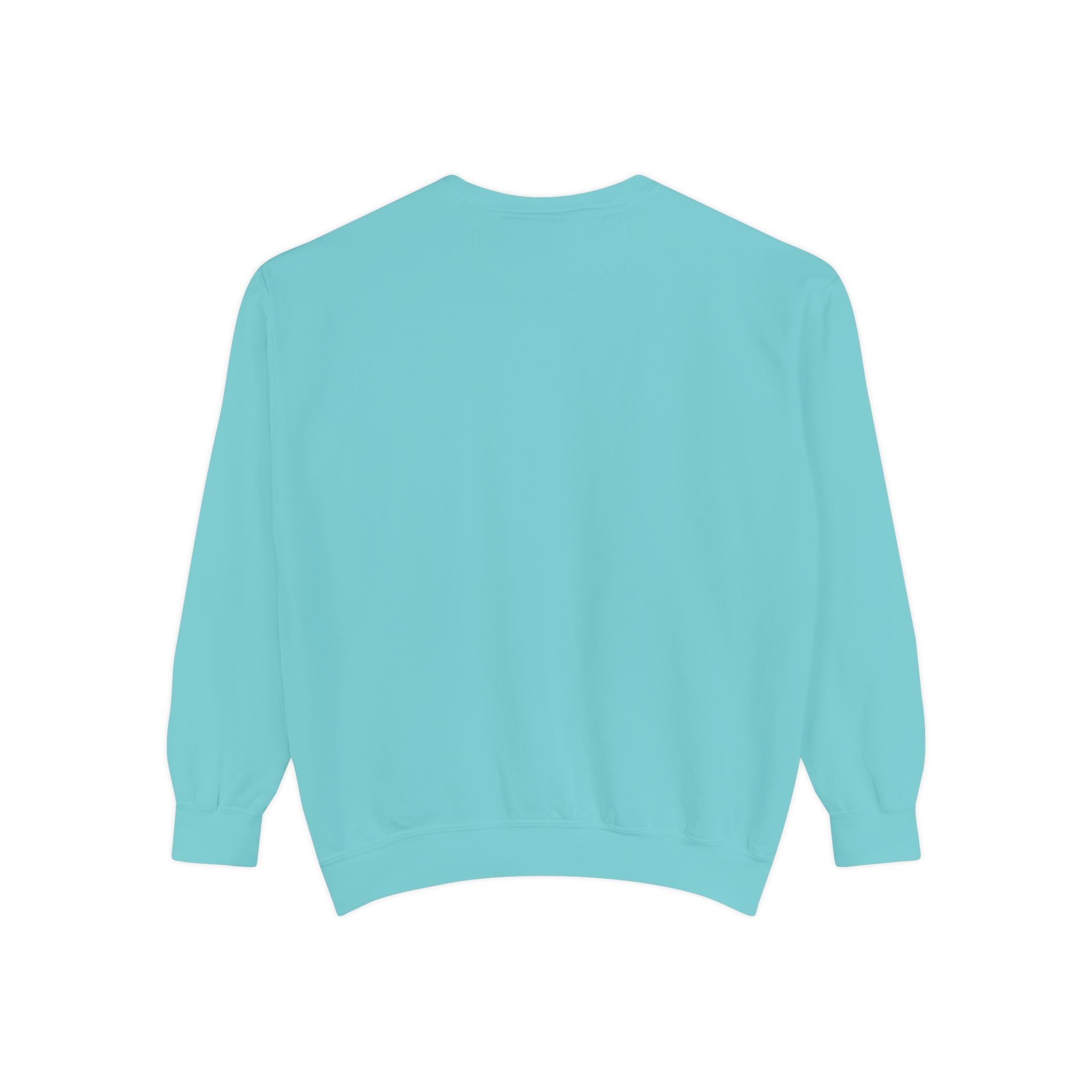 The Salty Spur Embroidered Crewneck Sweatshirt