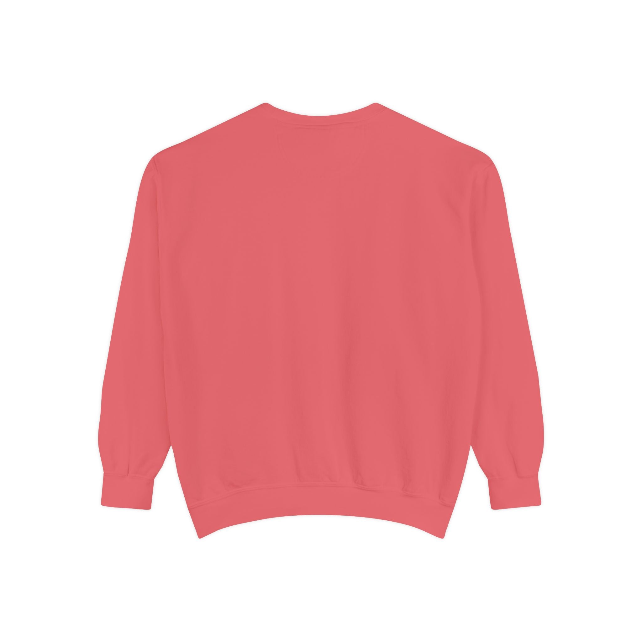 The Salty Spur Embroidered Crewneck Sweatshirt